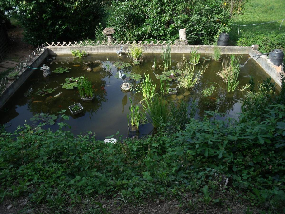 فيلا Domaine De La Provenc'Ane ساليرنيس المظهر الخارجي الصورة